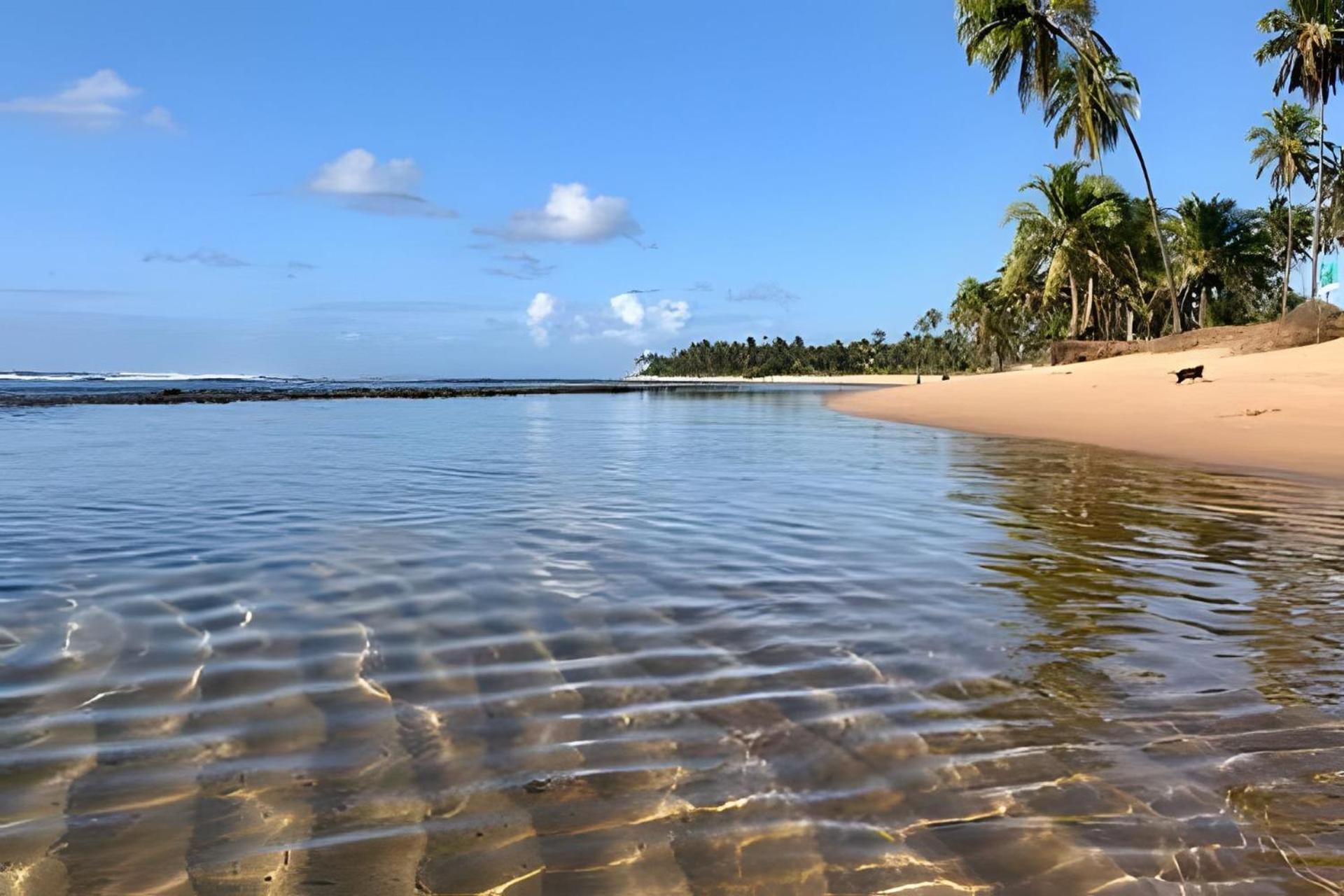 Praia Do Forte Apartamento Fantastico Buitenkant foto